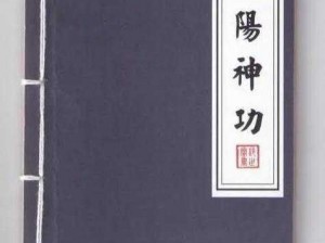 九阳神功先行版全武者演示，震撼登场