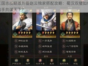 三国志战略版刘备赵云独家搭配攻略：蜀汉双璧如何携手共谋天下？