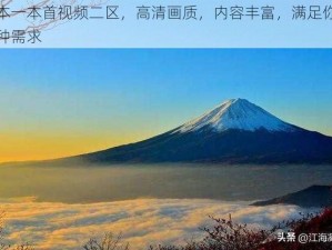 日本一本首视频二区，高清画质，内容丰富，满足你的各种需求