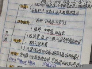 亚洲、美洲、韩洲综合，为什么它们的文化如此不同？如何理解这些差异？有哪些解决方案？