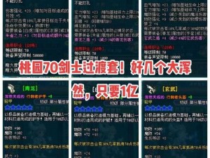 桃园各职业装备优选指南：打造理想角色装备，助力实战技能提升