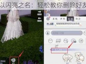 以闪亮之名：轻松教你删除好友