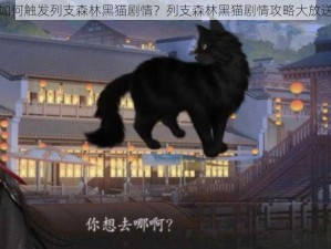 如何触发列支森林黑猫剧情？列支森林黑猫剧情攻略大放送