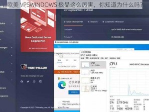 欧美 VPSWINDOWS 极品这么厉害，你知道为什么吗？