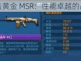 全民突击黄金 MSR：性能卓越的战斗神器