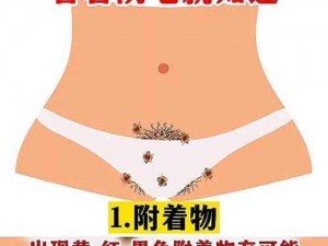 女人A级毛片19毛水真多，使用起来非常方便，能够有效清洁私密部位，让你时刻保持清爽