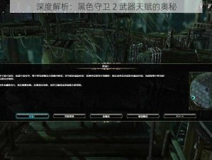深度解析：黑色守卫 2 武器天赋的奥秘