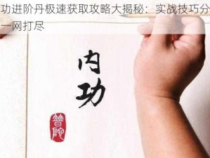 三种内功进阶丹极速获取攻略大揭秘：实战技巧分享，修炼捷径一网打尽