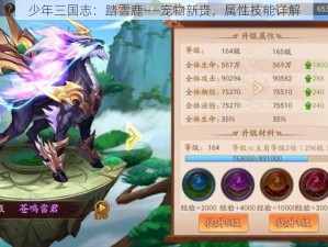 少年三国志：踏雪鹿——宠物新贵，属性技能详解