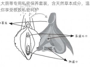 老女人大荫蒂专用私密保养套装，含天然草本成分，温和不刺激，让你享受极致私密呵护