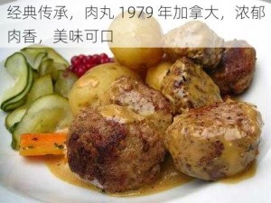 经典传承，肉丸 1979 年加拿大，浓郁肉香，美味可口