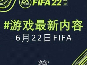 FIFA 13游戏无法进入的多种解决方案及应对方法探讨