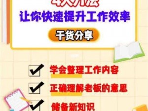 48 是什么？如何利用它提升工作效率？