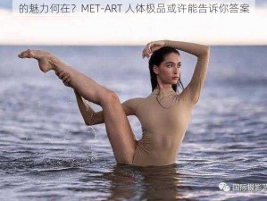 的魅力何在？MET-ART 人体极品或许能告诉你答案