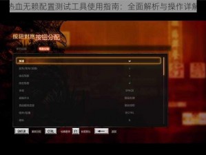 热血无赖配置测试工具使用指南：全面解析与操作详解