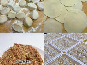 姬小满饺子皮最简单处理方法：快速、方便、美味