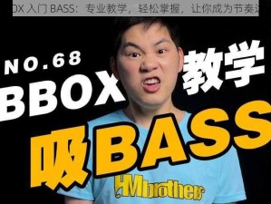 BBOX 入门 BASS：专业教学，轻松掌握，让你成为节奏达人