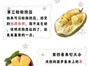 菠萝蜜国际通道一区麻豆：为什么选择它？如何使用它？怎样获得更好的体验？