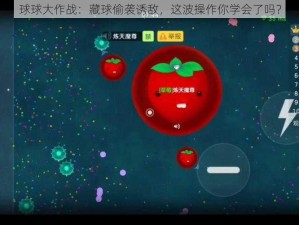 球球大作战：藏球偷袭诱敌，这波操作你学会了吗？