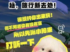 小白发布最新获取地名,小白发布最新获取地名，这些地方你都知道吗？快来一起探索吧