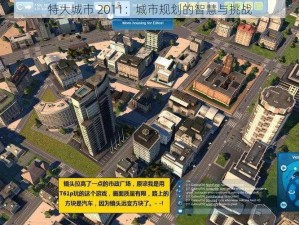 特大城市 2011：城市规划的智慧与挑战