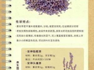 麻豆中心 薰衣草_请详细描述一下麻豆中心薰衣草的相关信息，比如它的种植环境、用途等