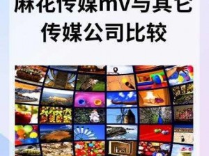 麻花传剧原创mv在线看视频_哪里可以找到麻花传剧原创 mv 在线看视频的资源呢？