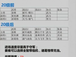 三国志战略版关兴战法阵容全方位解析：如何构建最佳搭配策略？