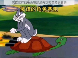 离谱这样的龟兔赛跑通关攻略竟然是真的