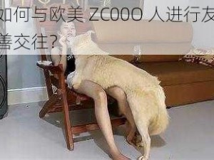 如何与欧美 ZC00O 人进行友善交往？