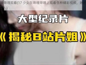 17少女哔哩哔哩观看(17 少女在哔哩哔哩上观看各种精彩视频，她的观看记录是怎样的呢？)