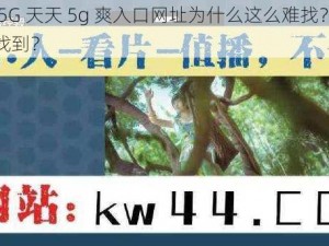 天天 5G 天天 5g 爽入口网址为什么这么难找？如何才能找到？