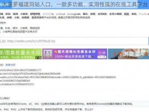 大菠萝福建网站入口，一款多功能、实用性强的在线工具平台