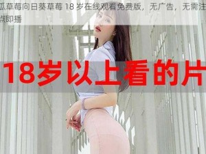 丝瓜草莓向日葵草莓 18 岁在线观看免费版，无广告，无需注册，即点即播