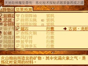 天地劫神魔至尊传：炼化秘术探秘武器装备养成之道