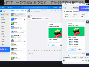 无畏钉钉：一款有趣的社交软件，你想知道它好玩在哪里吗？