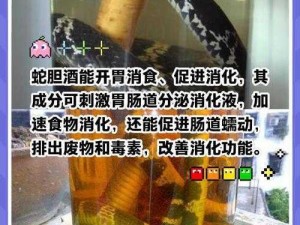 揭秘江湖悠悠：蛇胆酒制作配方的神秘材料究竟是什么？