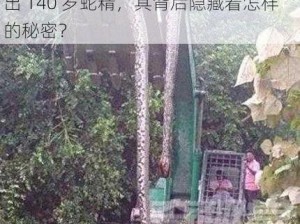 广西挖出140岁蛇精_广西多地陆续挖出 140 岁蛇精，其背后隐藏着怎样的秘密？