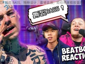 BBOX 残忍 BASS，独特设计，震撼音效，给你带来极致音乐体验