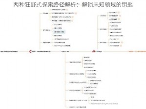 两种狂野式探索路径解析：解锁未知领域的钥匙