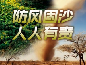 打造世界沙尘暴治理新模式：联合预防科技创新与生态恢复之路探寻