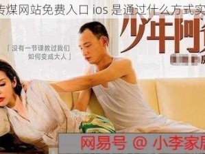 麻豆传煤网站免费入口 ios 是通过什么方式实现的？