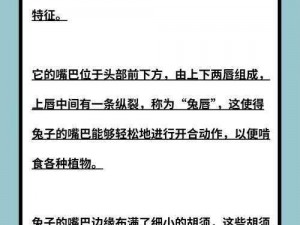 我的东非大裂谷和大白兔和小括号有何独特之处？为何如此特别？怎样才能拥有？