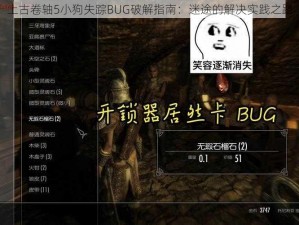 上古卷轴5小狗失踪BUG破解指南：迷途的解决实践之路