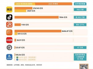 18CMICBIZ 入口，一个提供专业电商解决方案的平台