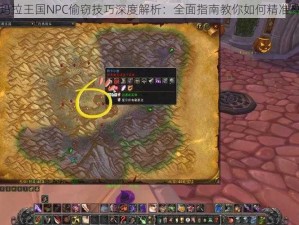 阿玛拉王国NPC偷窃技巧深度解析：全面指南教你如何精准操作