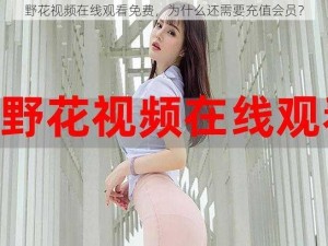 野花视频在线观看免费，为什么还需要充值会员？