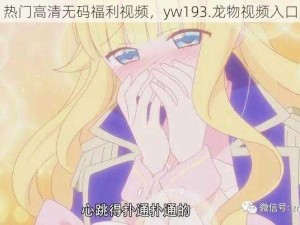 热门高清无码福利视频，yw193.龙物视频入口