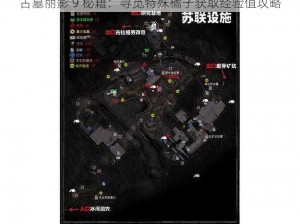 古墓丽影 9 秘籍：寻觅特殊橘子获取经验值攻略