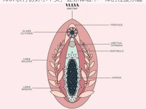 XXX 农村诱奷小 Y 头，让你体验不一样的性爱乐趣